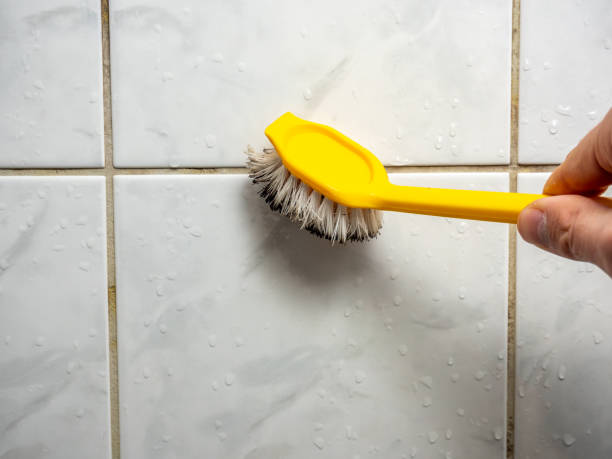 Best Commercial Mold Removal  in Troy, TN