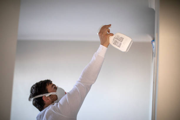 Best Mold Testing  in Troy, TN