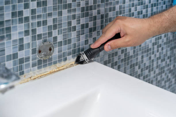 Best Emergency Mold Removal  in Troy, TN